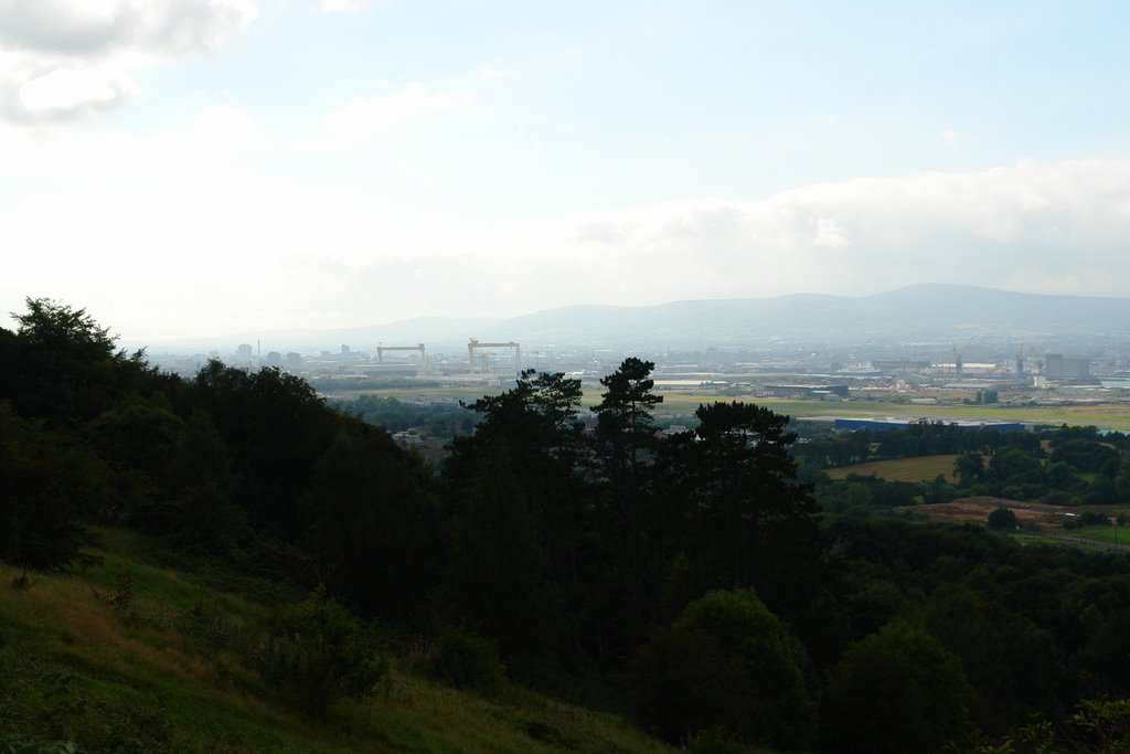 Belfast from County Down by Greg Thompson