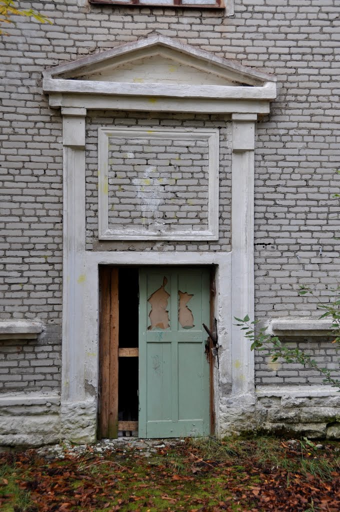 Empty building's door by Icepick