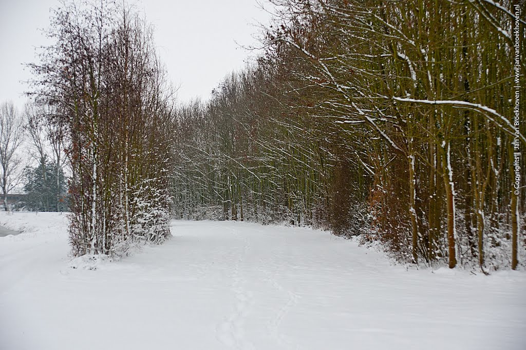 Winter in Holland by Jan van Broekhoven