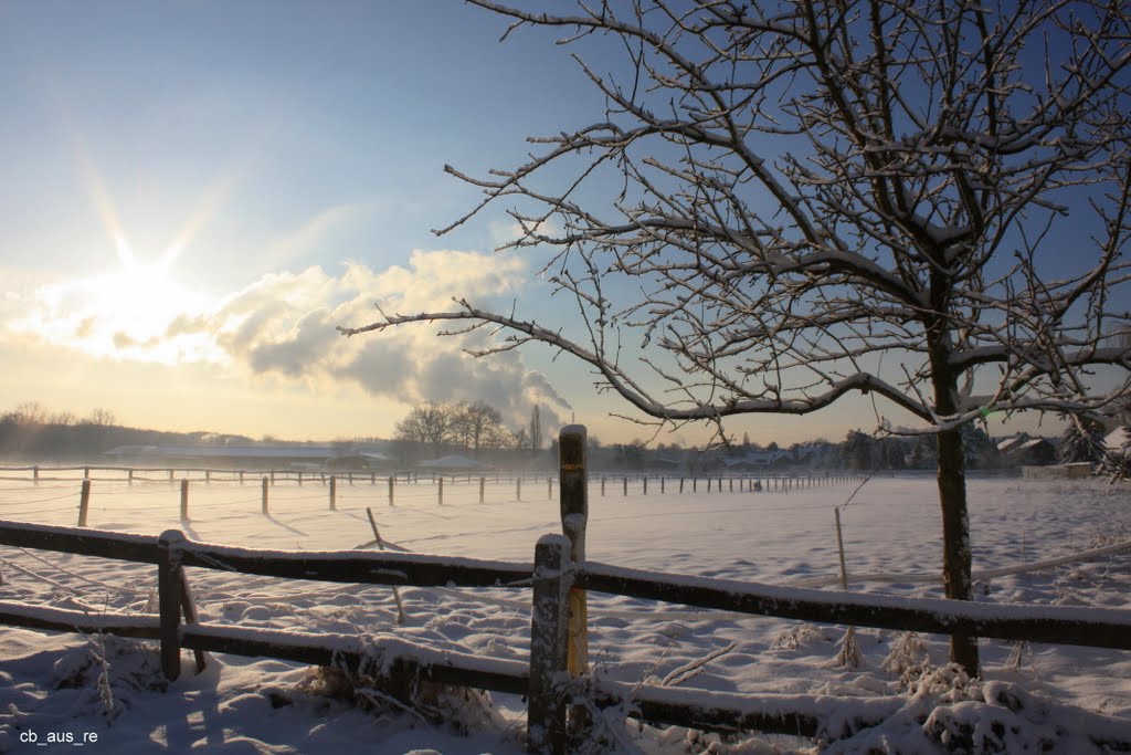 Recklinghausen, Stuckenbusch, Morgensonne im Winter by cb_aus_re