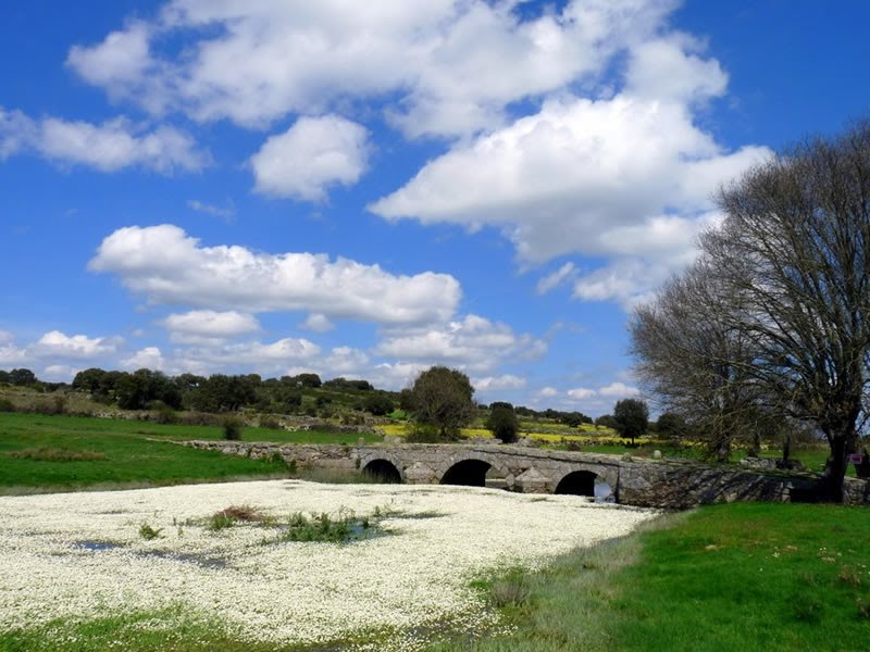 Puente Romano de Sogo de Sayago by Lacasonamedieval