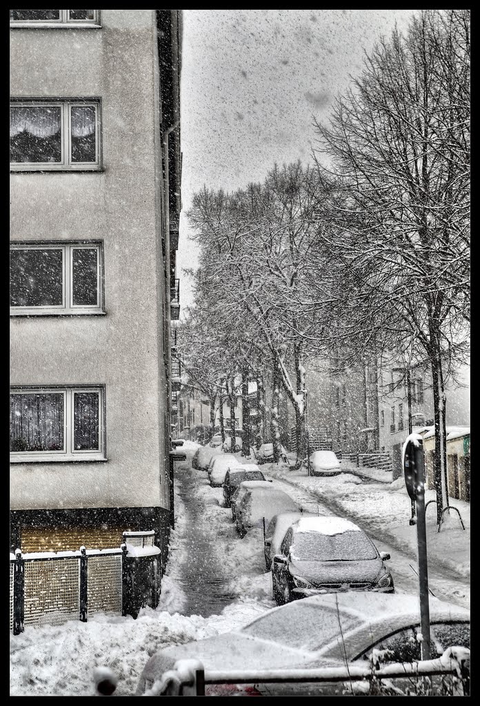 Sedansberg, Wuppertal, Germany by Ralf Es