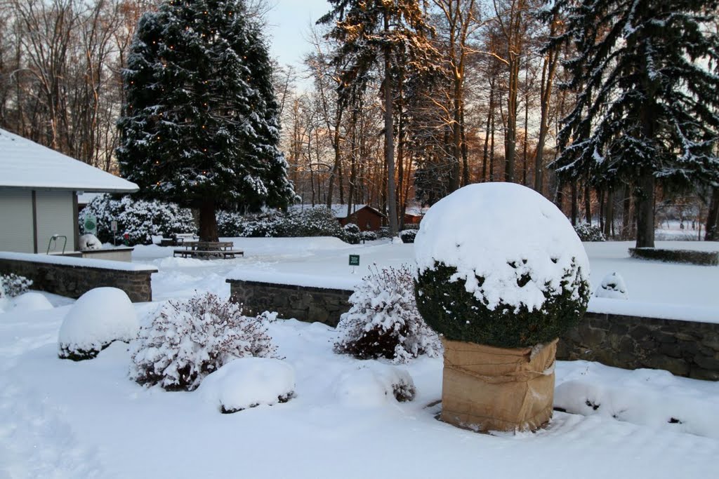 Golfclub Hanau Wilhelmsbad - snow covered bushes near members terrace by Dieter Hoffmann