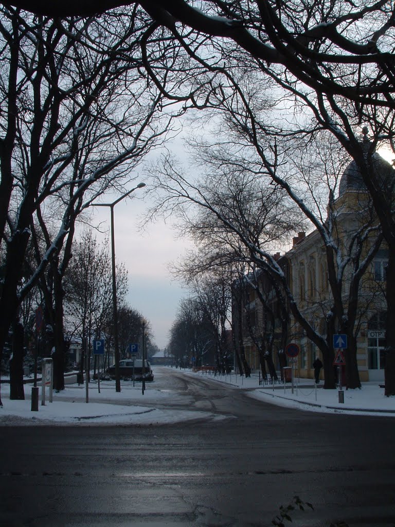 A Szabadság utca bejára ( entrace to Szabadság street ) by Ignácz Csaba