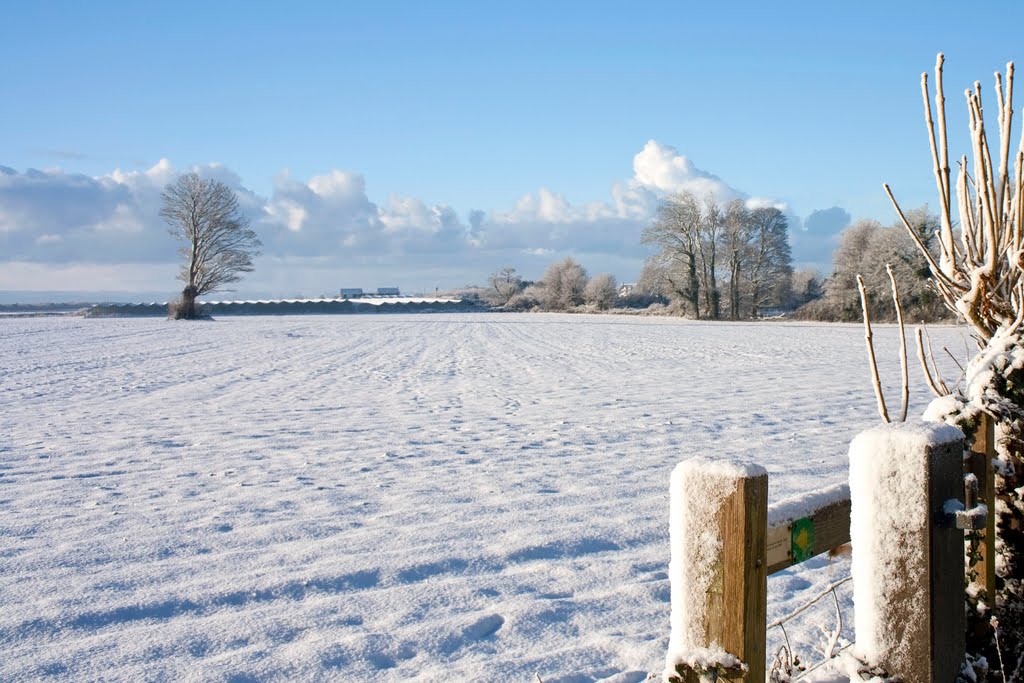 View over fields to Boverton Place farm by AndyGardner