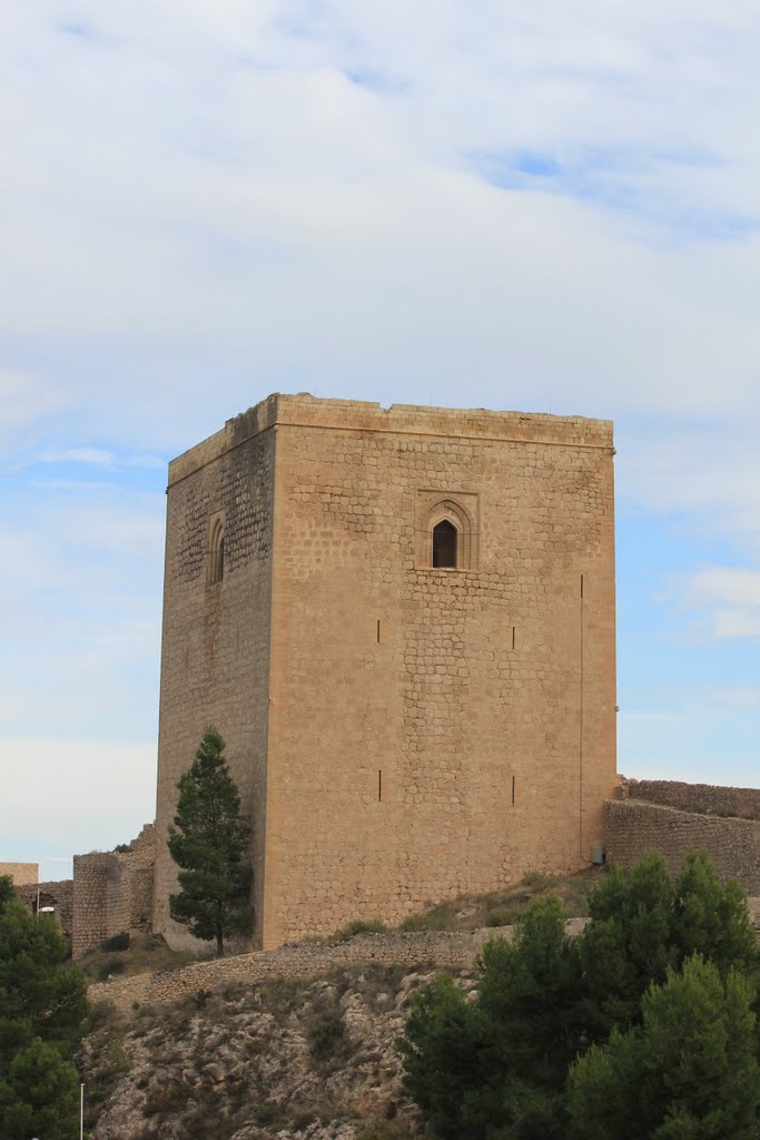 Torre Alfonsina by Francisco Mendoza