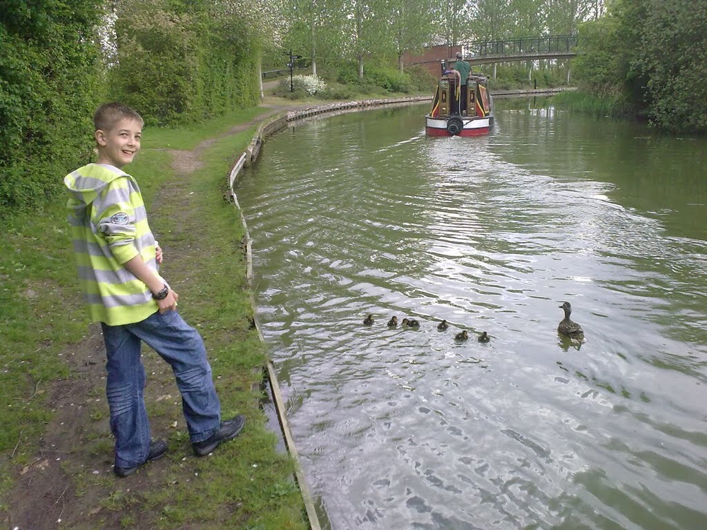 Duckies on canal by photo_steve