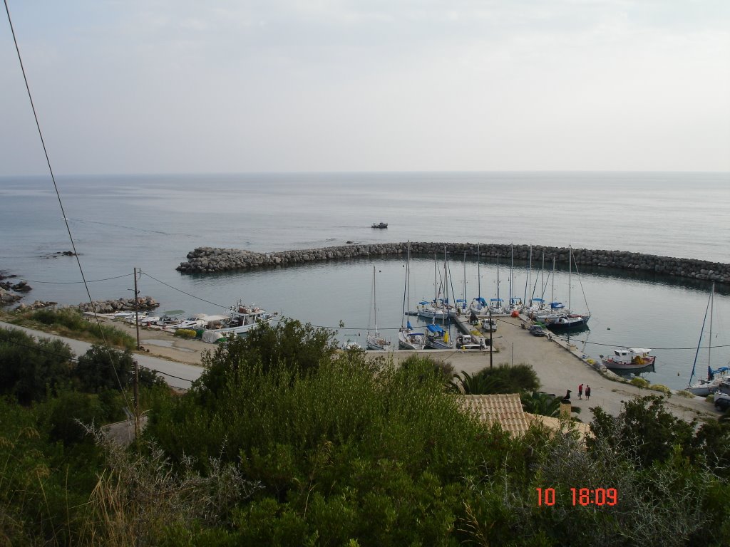 Lygia port by lygias