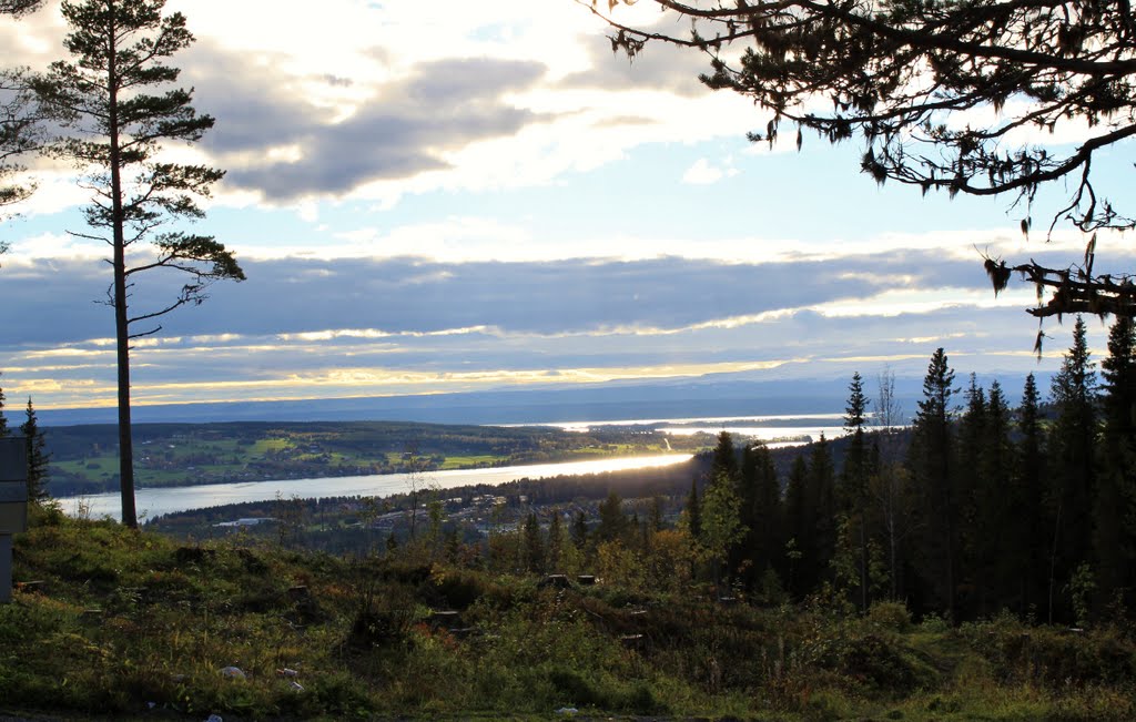 View from the top of the hill by bc_harry