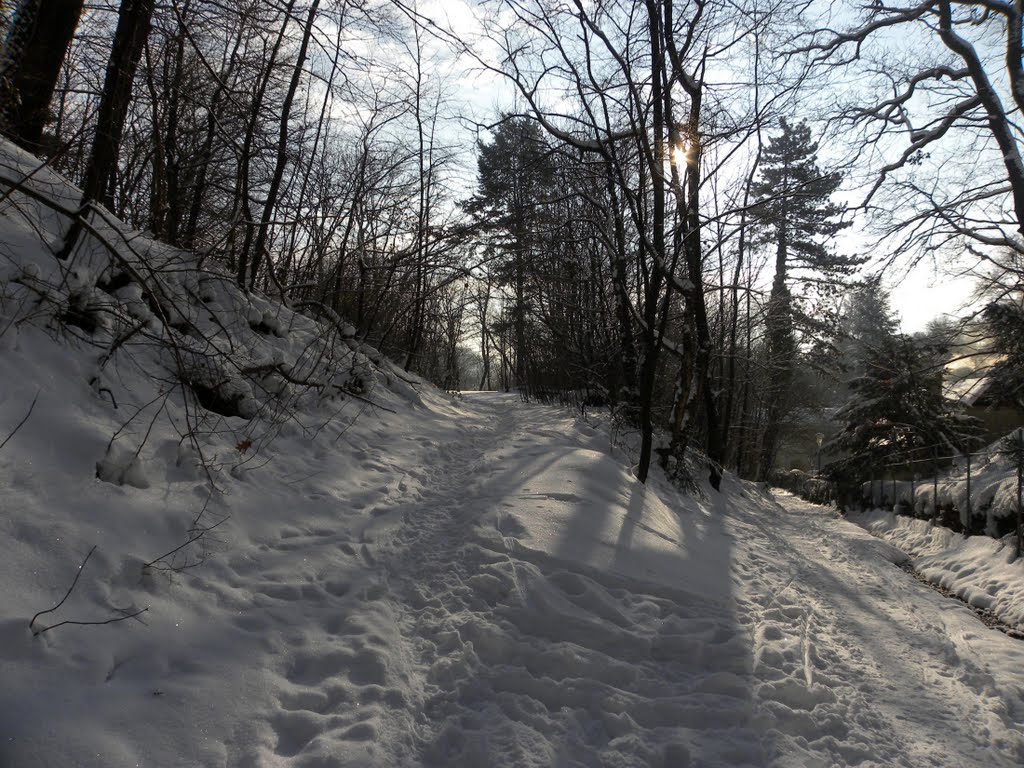 Winterwanderweg by Häferl