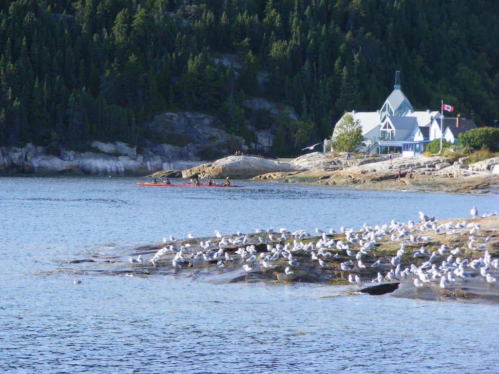 L'Anse à Cale sèche, Tadoussac by pastantqueca