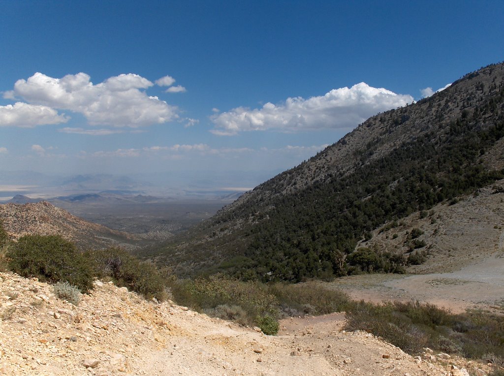 View of the desert from Wheeler Pass by texnev