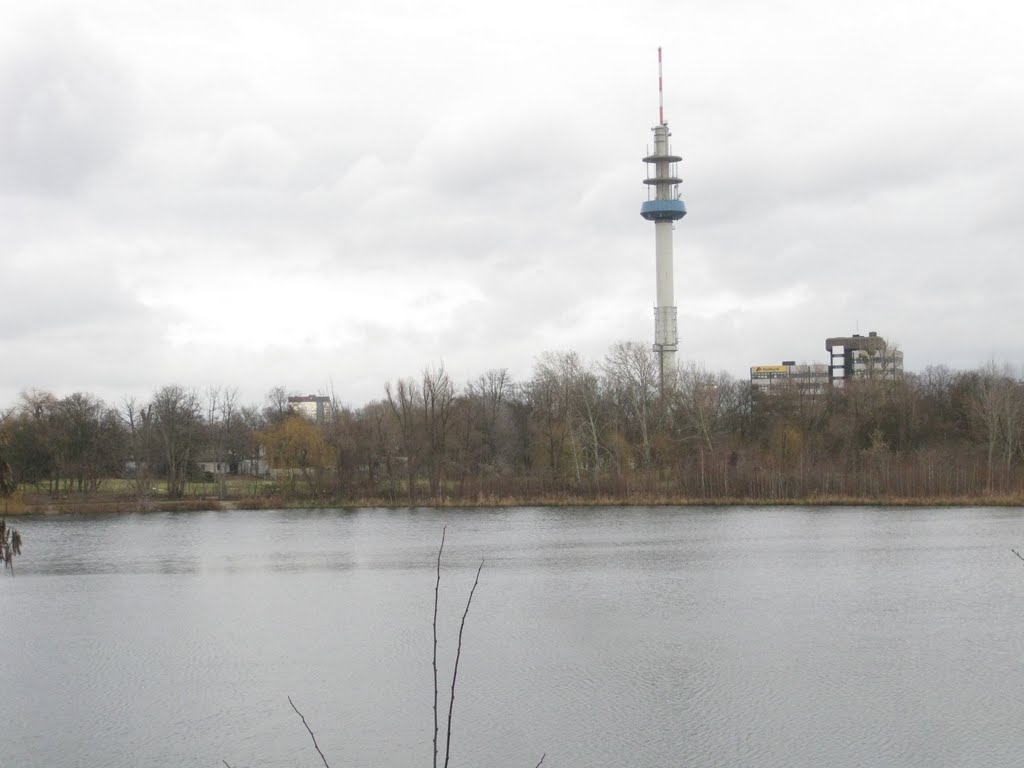 Ludwigshafen - Badeweiher Grosse Blies und Fermeldeturm by Andreas-Müller