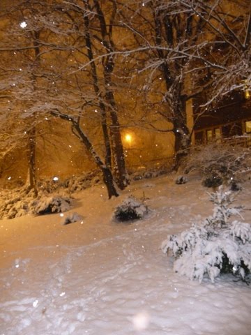 Schnee im Burtscheider Kurpark by Ralf Houven