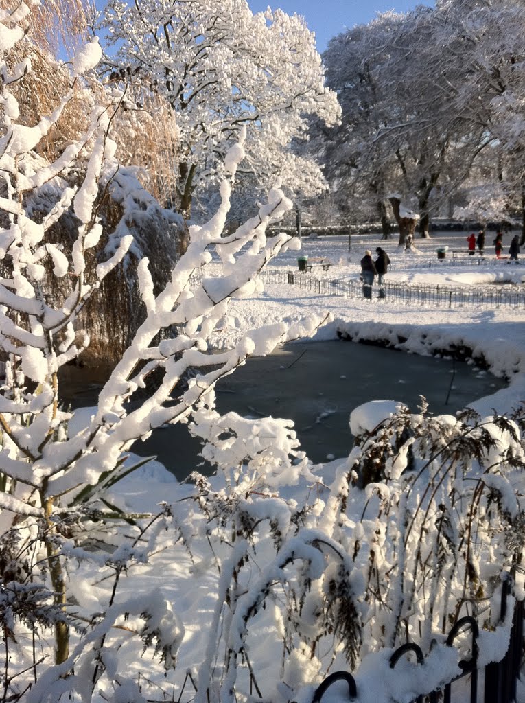 Winter at Thompson Park by Skusey1