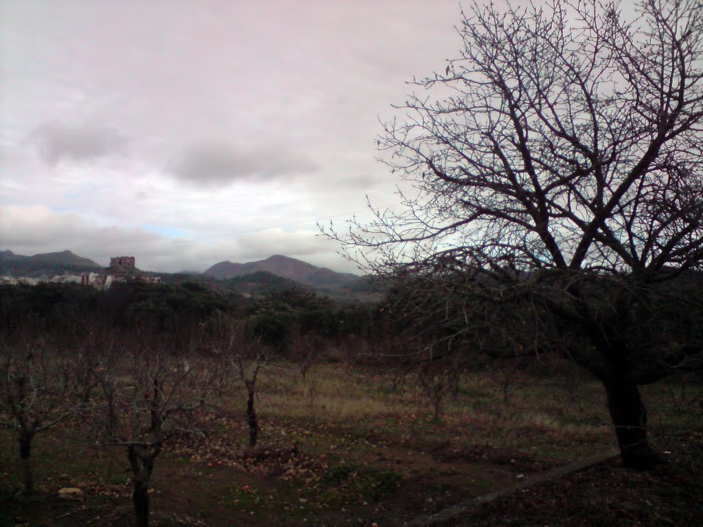 Otoño en castellnovo 2 by huertjs