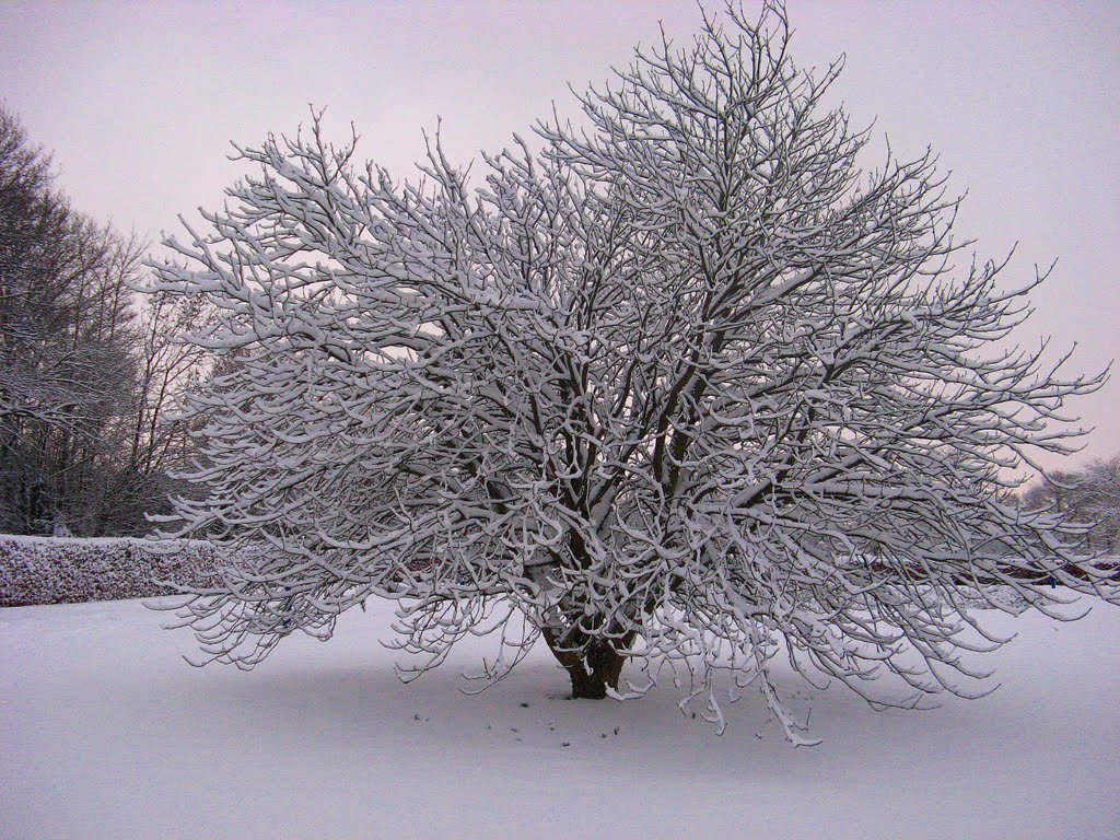 Winterrust by juliusdekeuning