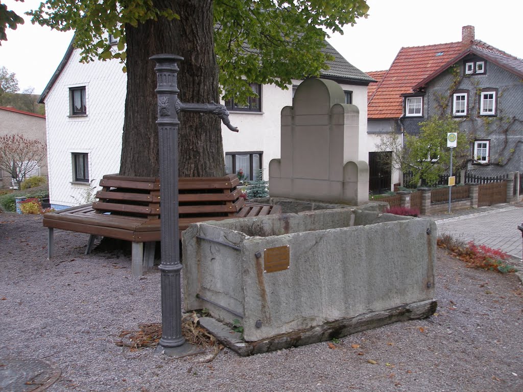 Lichta bei Königsee/Thüringen; Dorfbrunnen am Anger by Günter Wölker