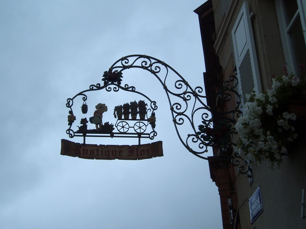 Sign (Wissembourg, France) by Anne Wiese