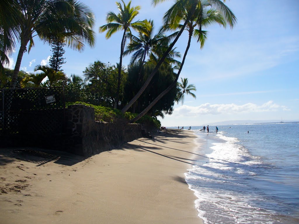 Lahaina shore by J Christian Snedeker