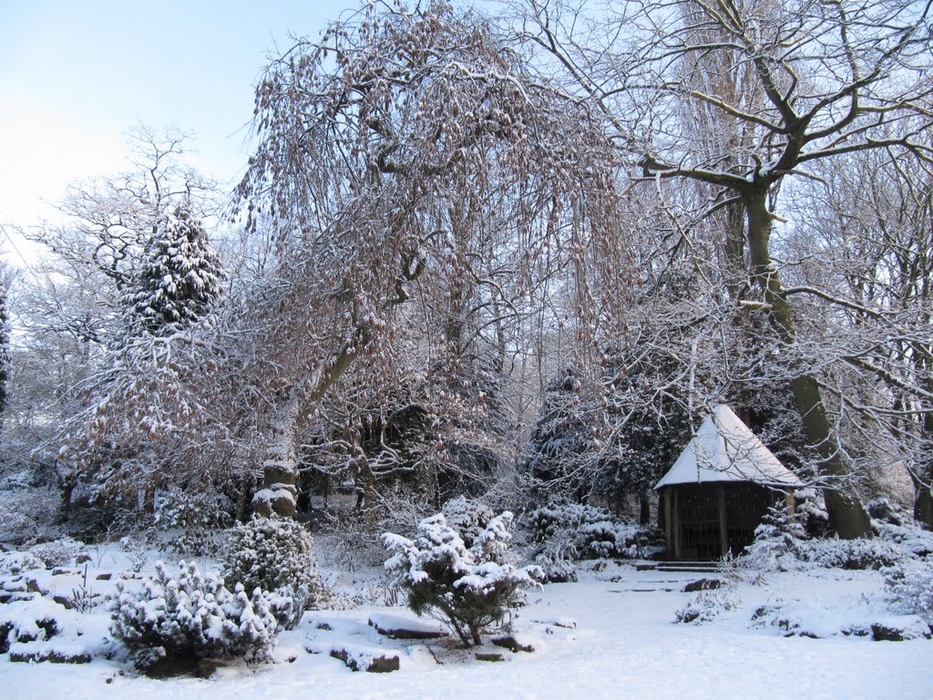 Walsall Arboretum in the snow by Sue Fox