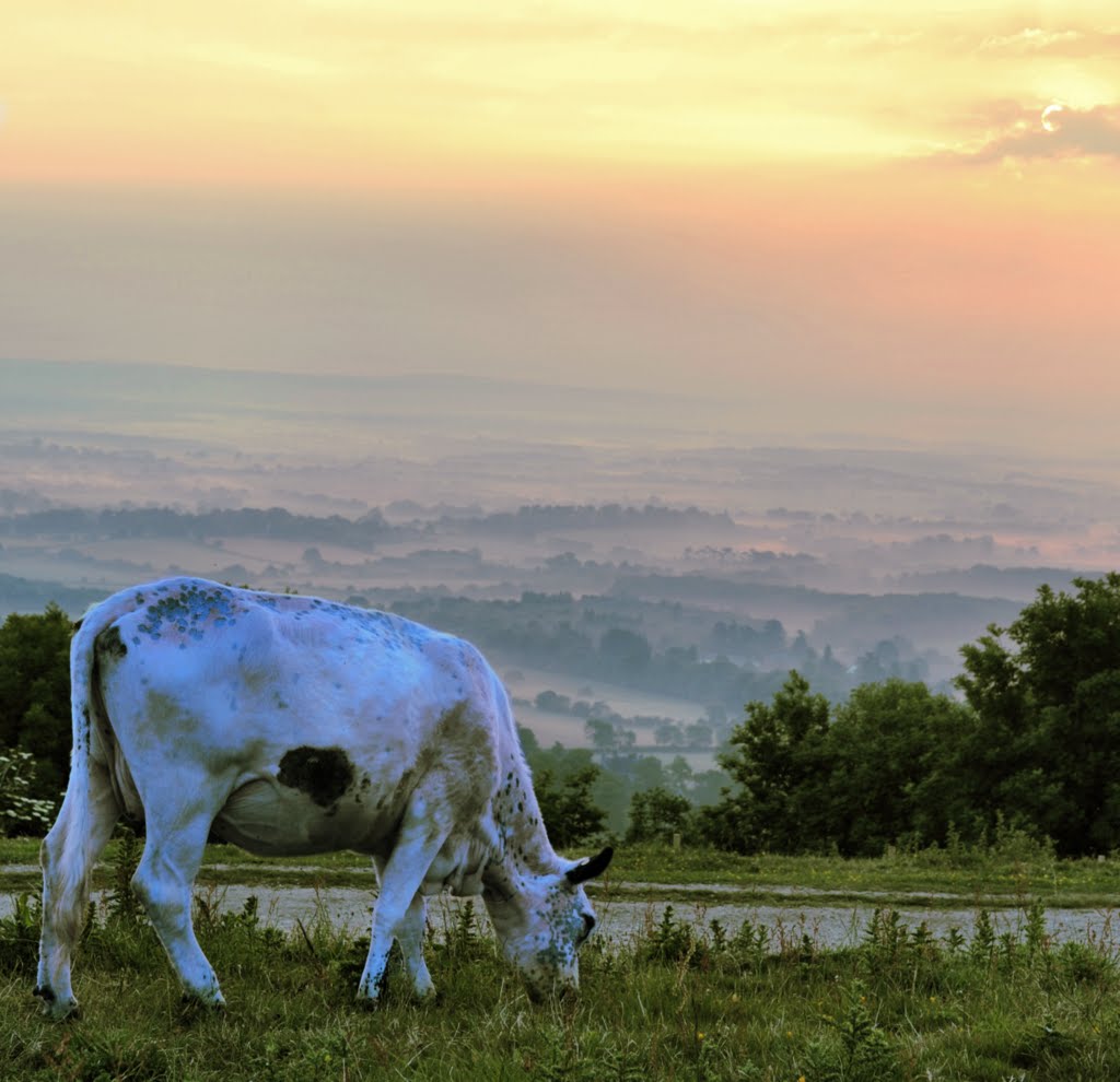 Ditchling Beacon by stuart s