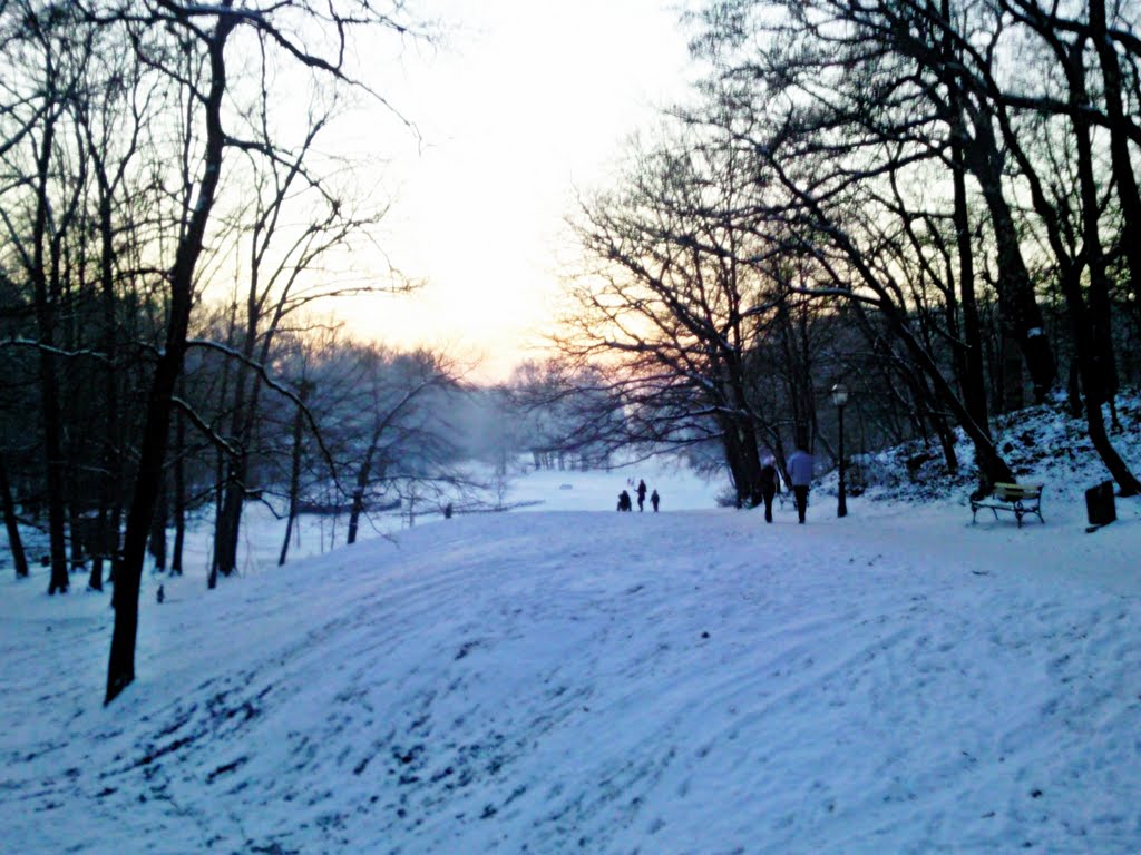 Maksimir in winter by marty11200