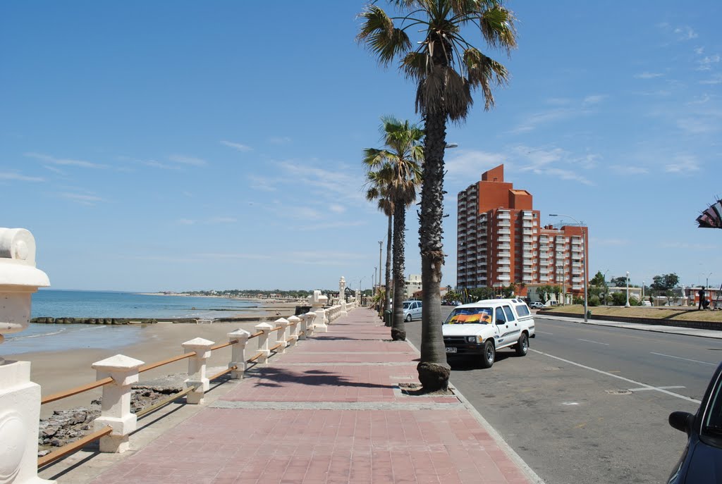 RAMBLA COSTEIRA by LUCIO G. LOBO JÚNIOR