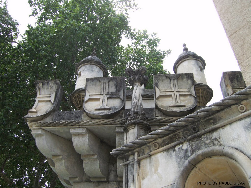 Escudos portugueses by PAULO MENOTE