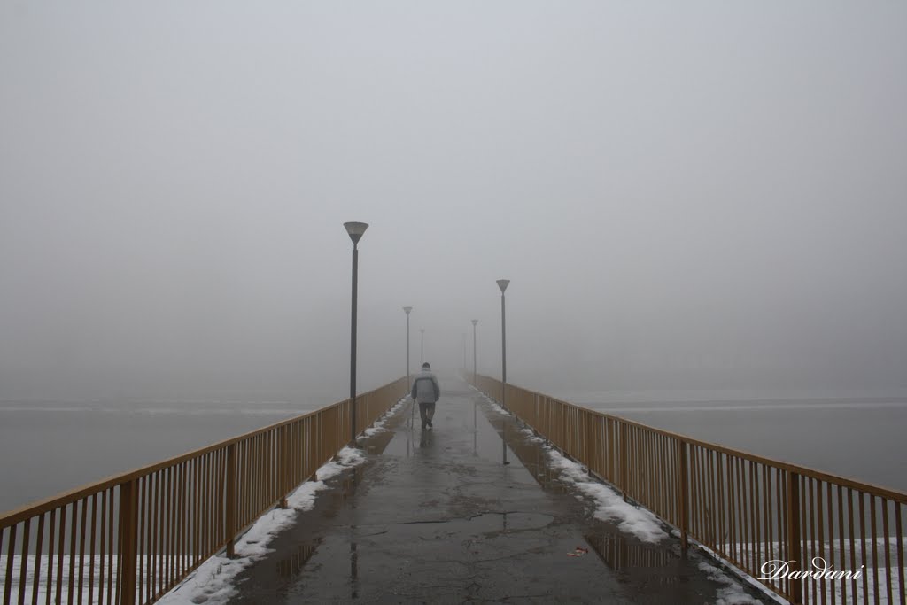 An old man walking into the fog by dardani.m