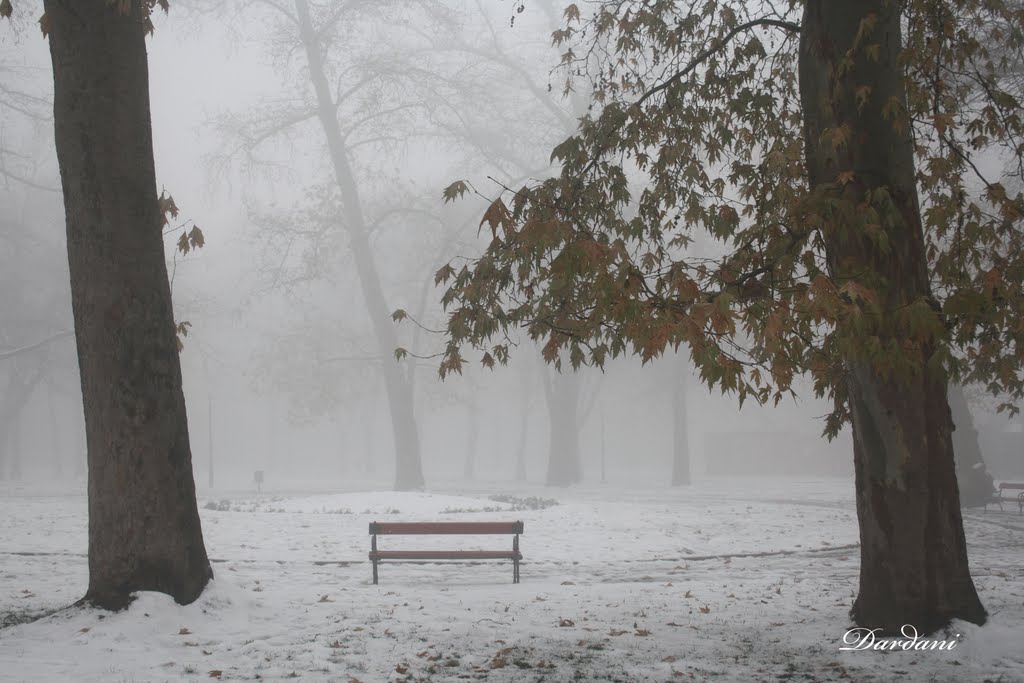 Bench and Trees by dardani.m