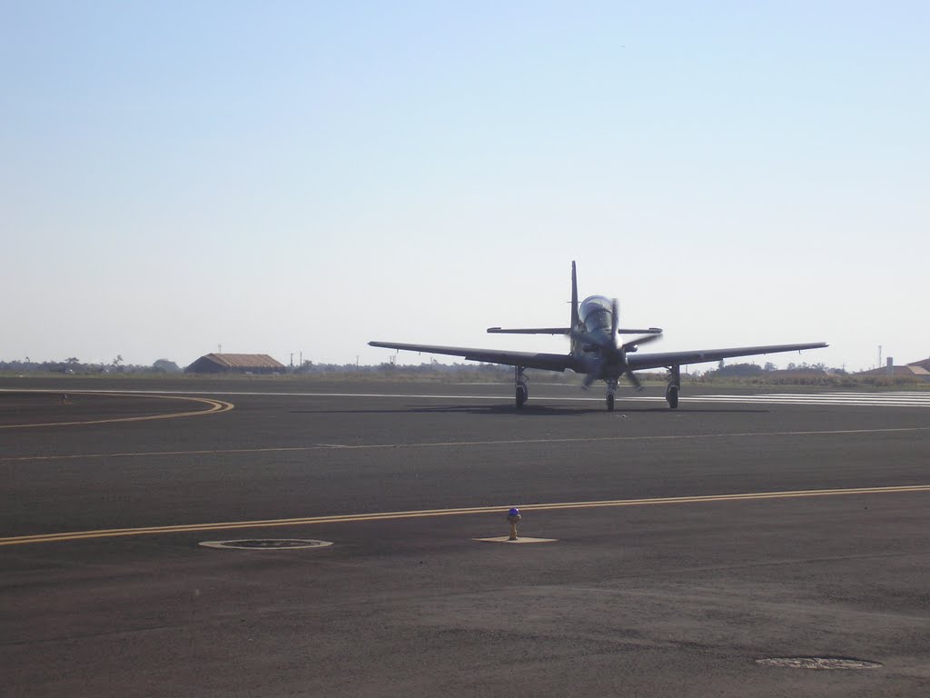 Tucano em Campo Grande by kick-ass