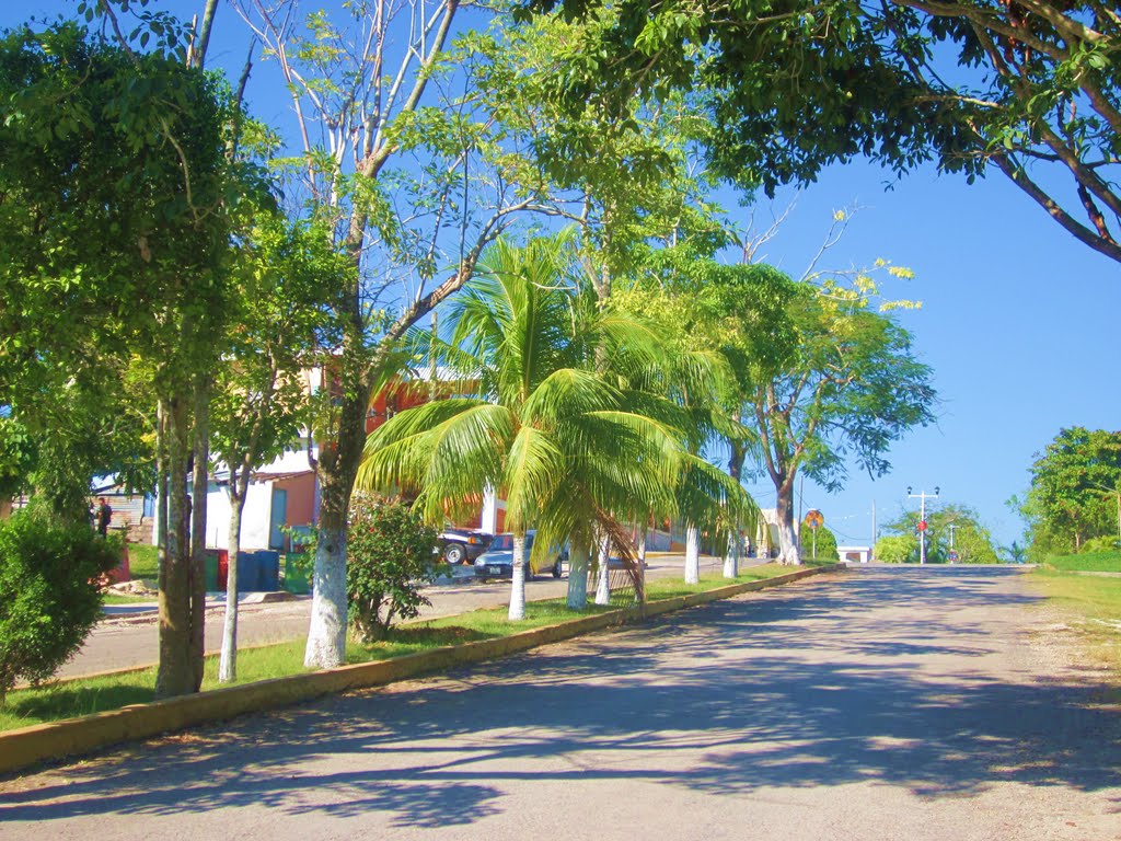 Calle en Bacalar, Q. Roo. by holachetumal