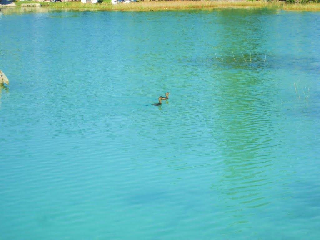 Lagoon of Bacalar. by holachetumal