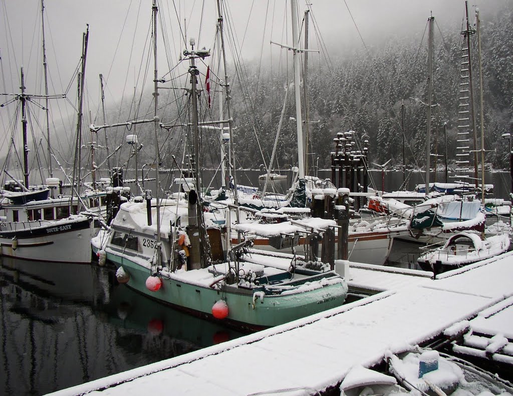 Snowy Boats by NatureDiver