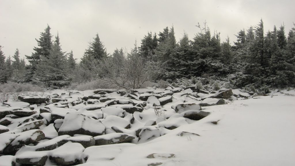 Spruce Knob Trail, WV in Winter by diginature