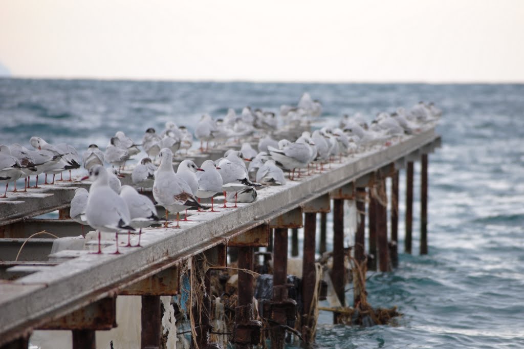 Piccola sosta by Guido Arpidone