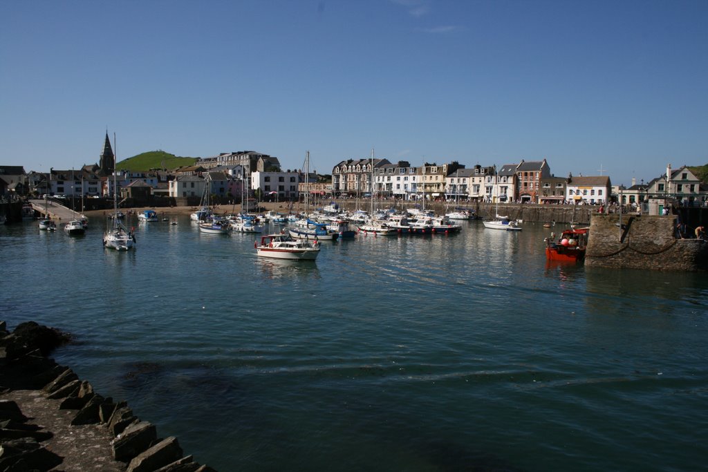 Ilfracombe by Tom Selves