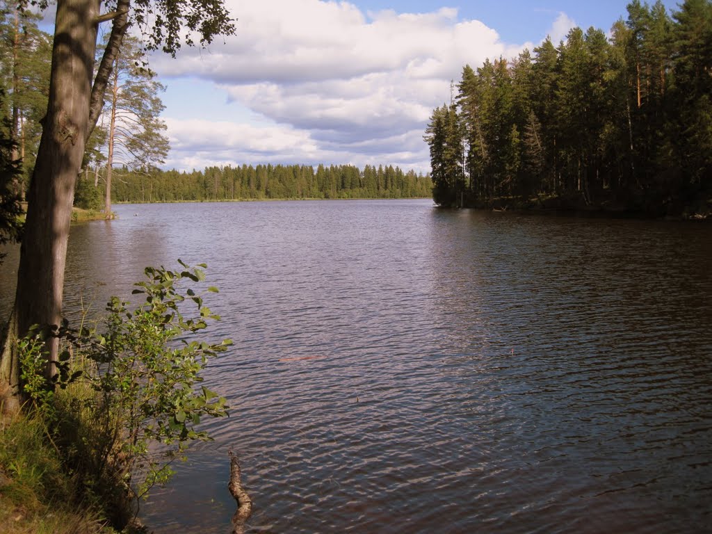 Vyborgsky District, Leningrad Oblast, Russia by Павел Андреев