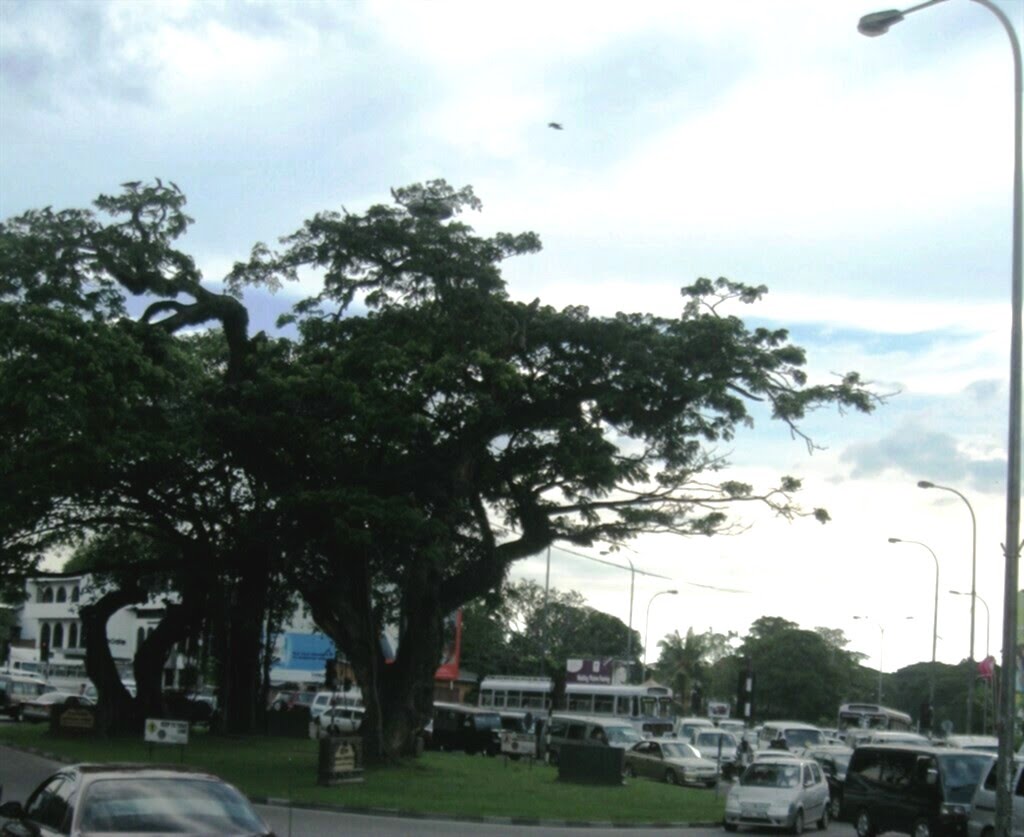 Borella Junction, බොරෙල්ල කනත්ත හන්දිය by Al-thalib