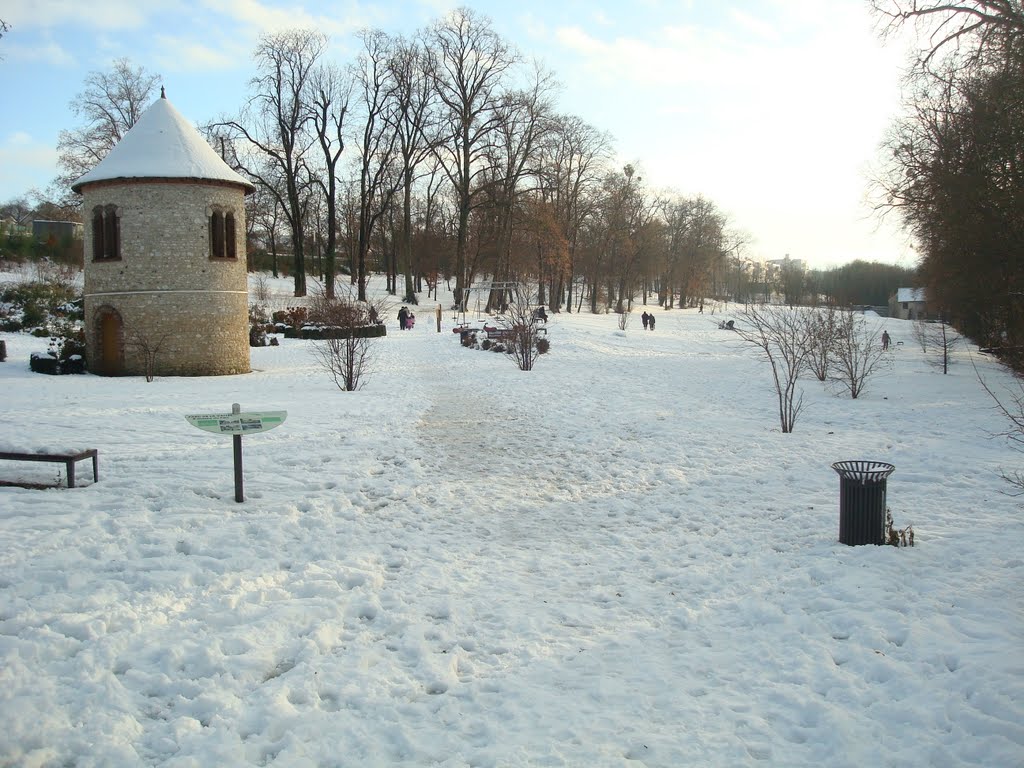 Pigeonnier sous la neige by quelqu'un