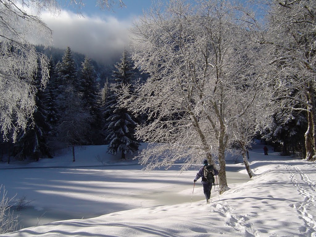 Neige et givre à Prémol by nicolethiemonge