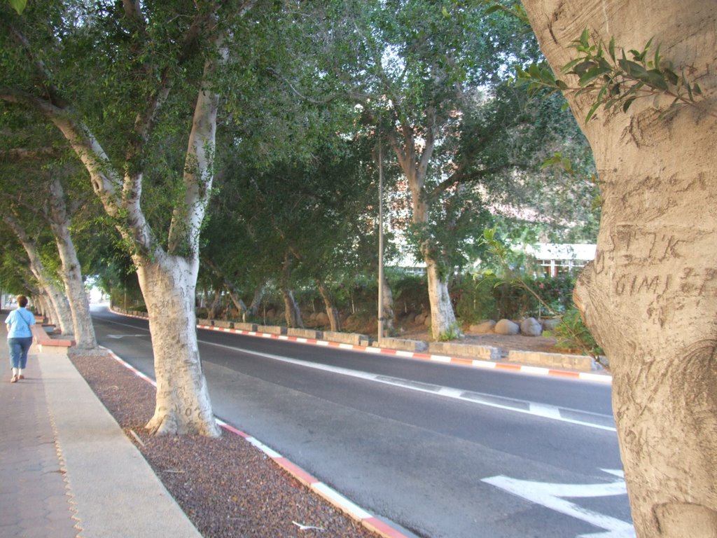 Promenade in Tiberias by Danot Abraham