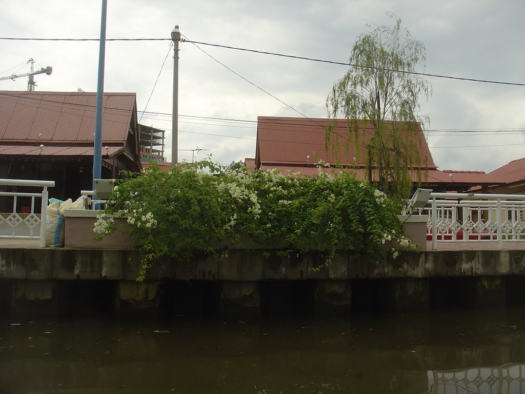 Kampung Morten - Melaka (river), Malacca Town, Melaka, Malaysia by Paul HART