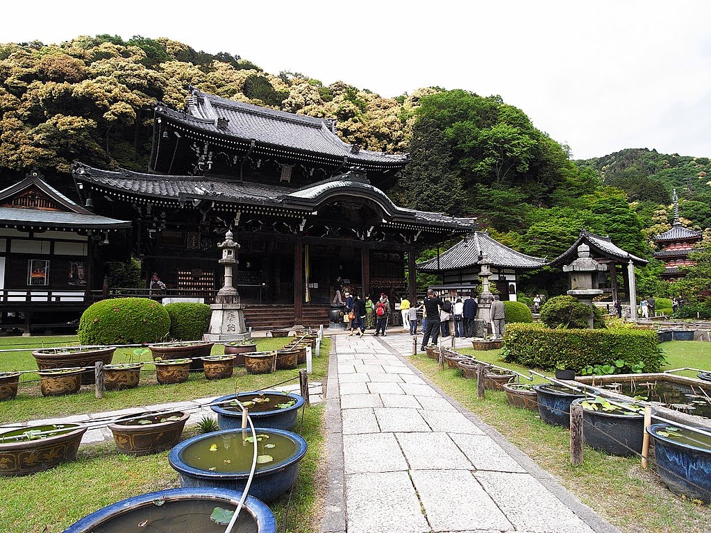 三室戶寺 by ginger.reiki