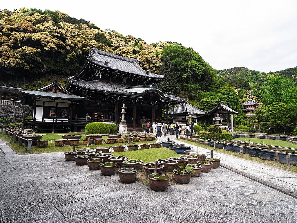 三室戶寺 by ginger.reiki