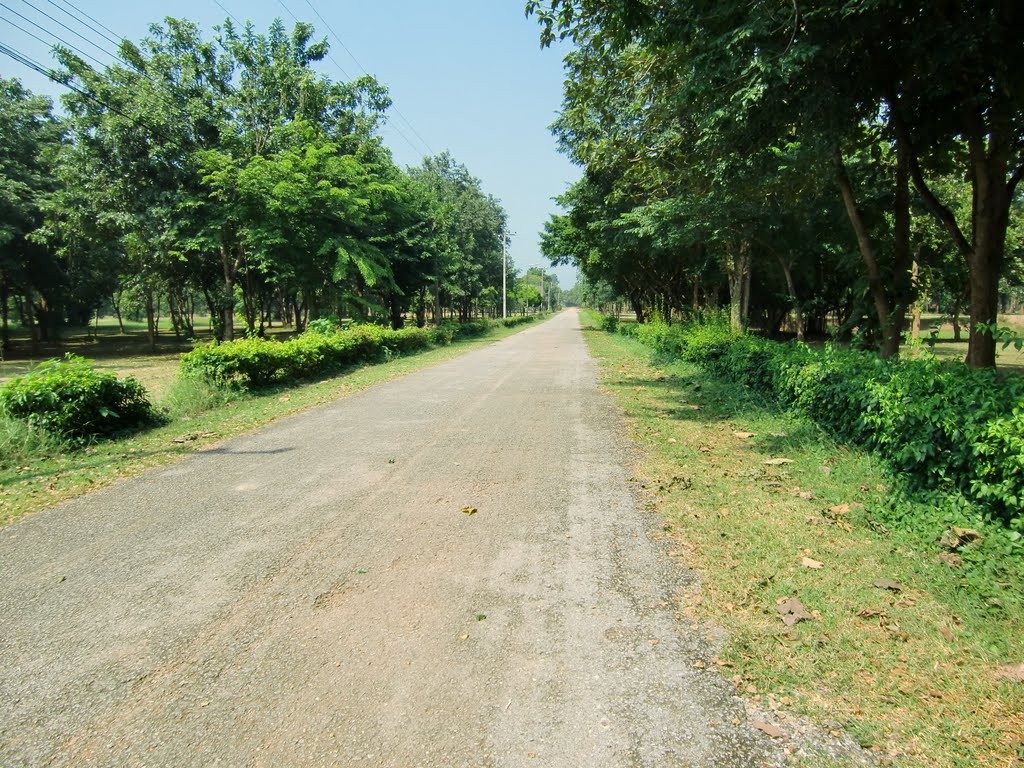 Muang Sing Historical Park: Park road by Inazuma