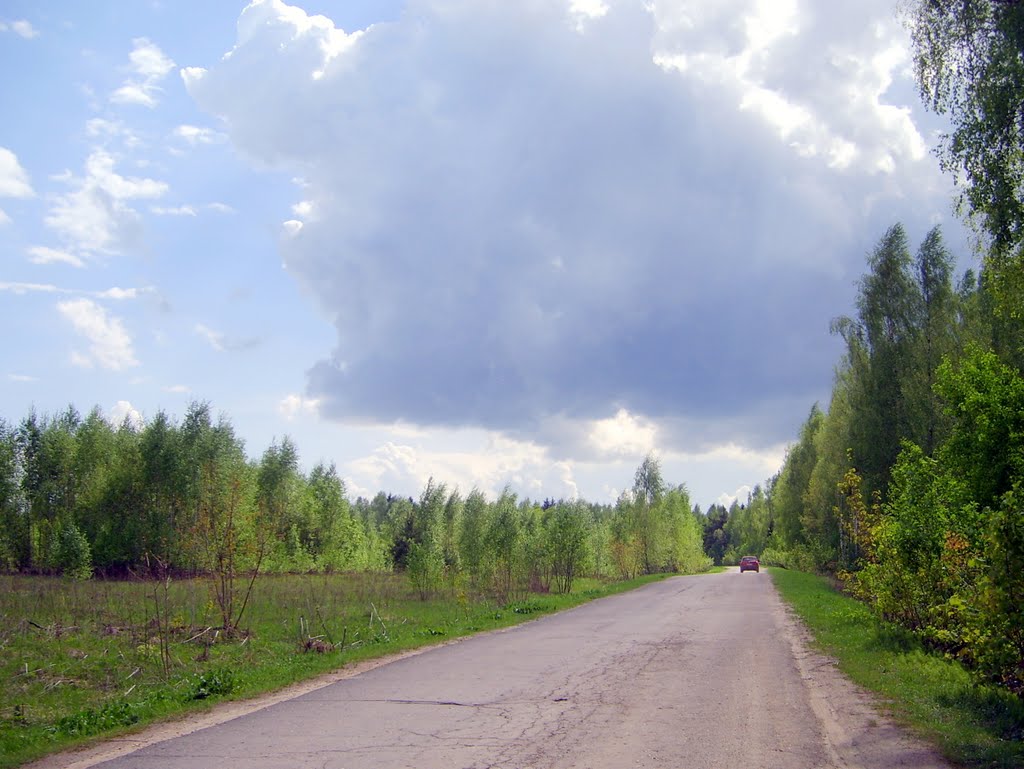 Kozelsky District, Kaluga Oblast, Russia by vovador