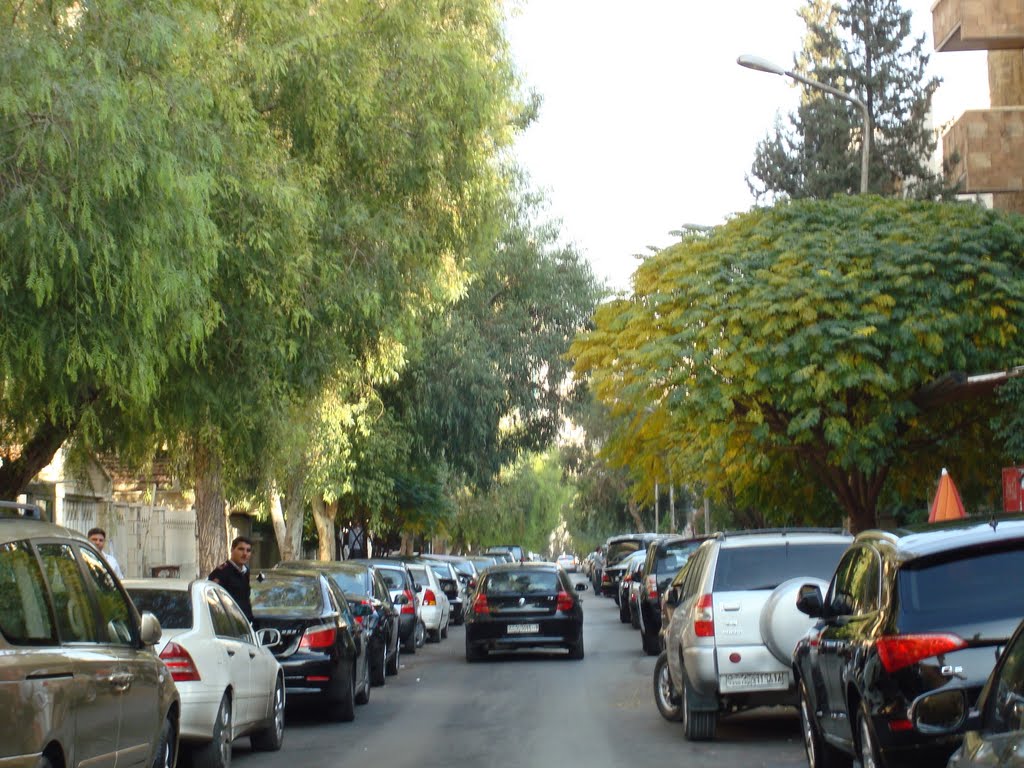 Eastern Villas, Damascus, Syria by alqanawat