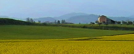 Bardolino, Province of Verona, Italy by bruno fantinati